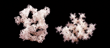 Rapid-prototyped molecular chain structures