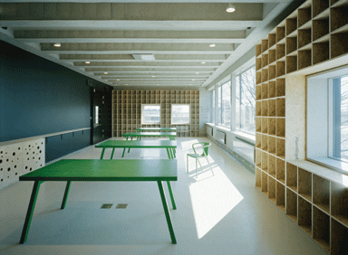 The library with OSB shelving 