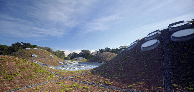 The roof’s undulations accentuate the shape of interior structures such as the planetarium The roof’s undulations accentuate the shape of interior structures such as the planetarium