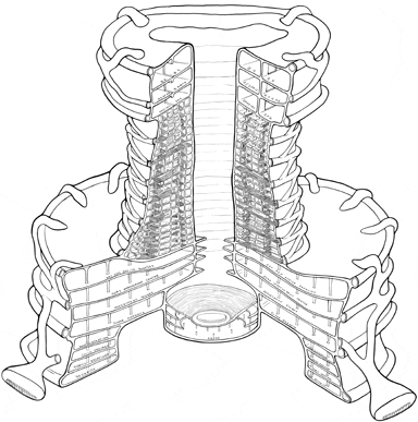 The Mall. The veins around the organ-shaped building are the escalators 