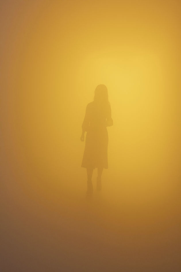  Olafur Eliasson, Din blinde passager, 2010