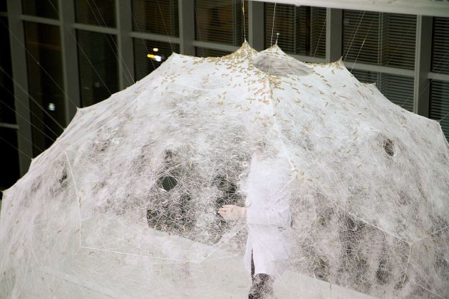 Silk Pavilion by Neri Oxman silkworms at work