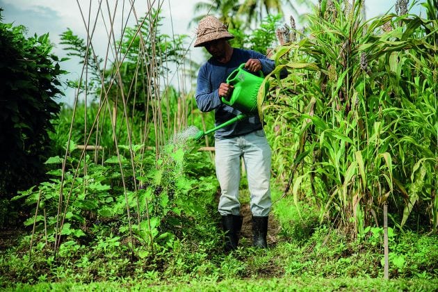 Mana Earthly Paradise hotel, Bali. A permaculture garden in the grounds supplies the restaurant. Image: Dodik Cahyendra.