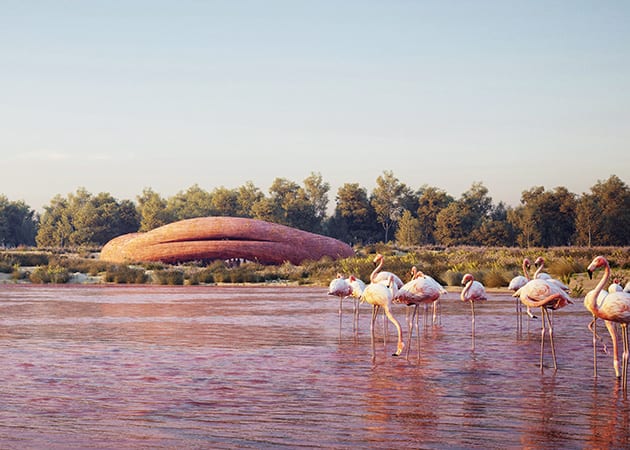 abu dhabi wetland centre proposal