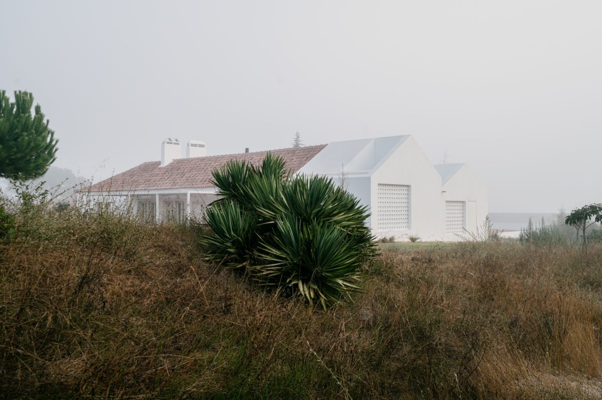 Atelier Data, Portugal, residential, architecture, Casa Mãe, iconeye, ICON magazine