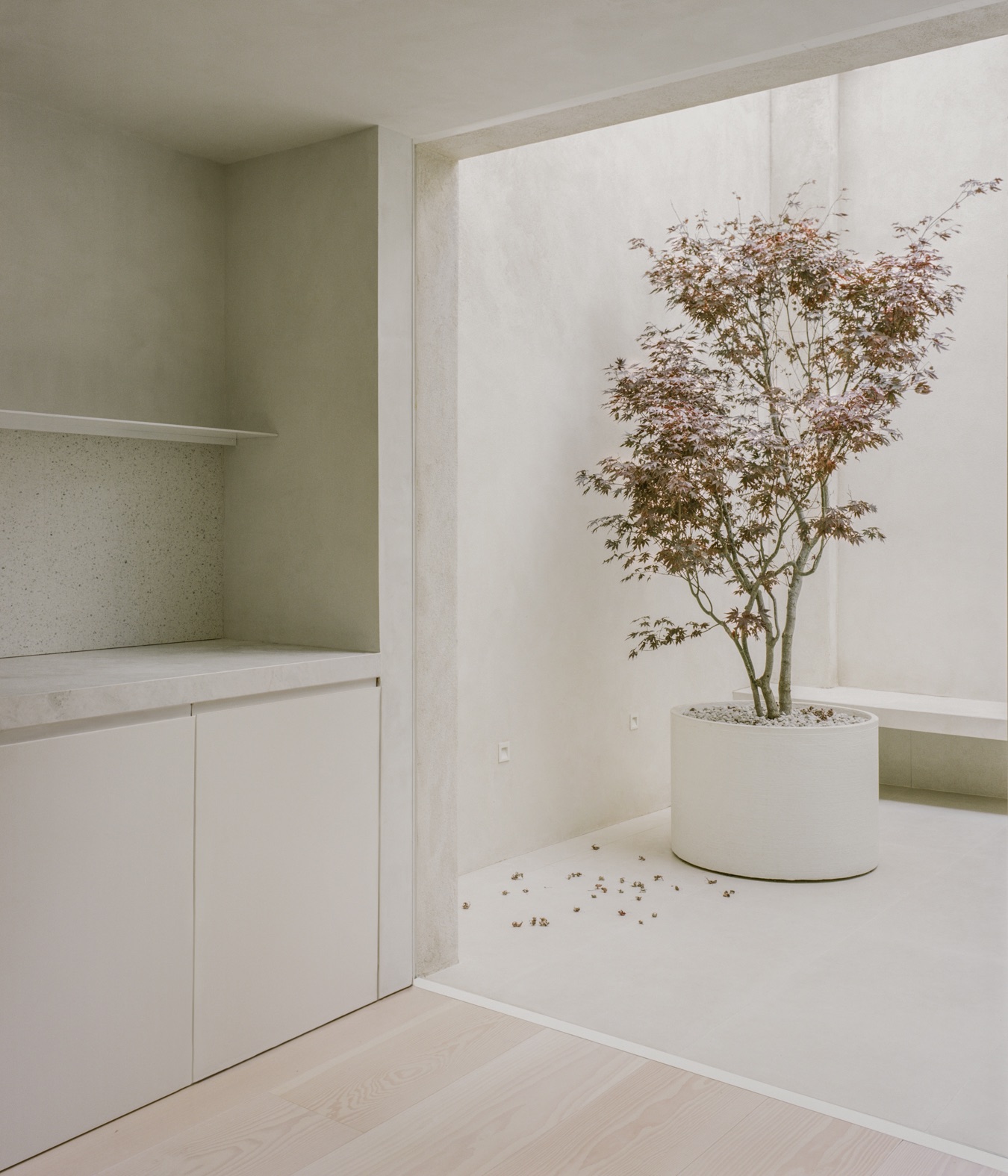 Trewhela Williams London house mews minimalism kitchen 