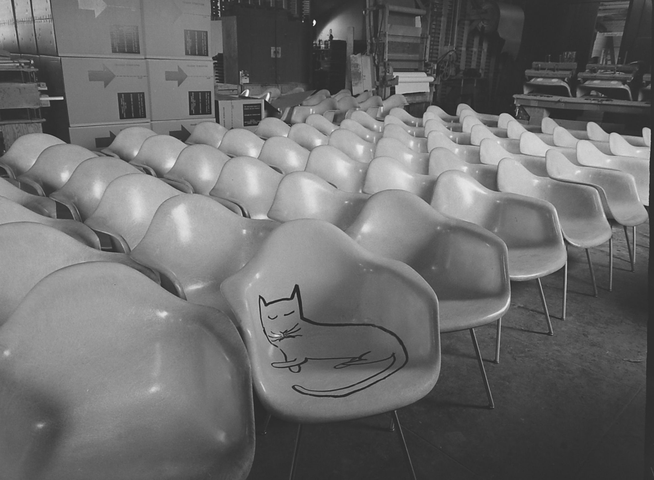 Eames Office Herman Miller Vitra Steinberg Cat chairs