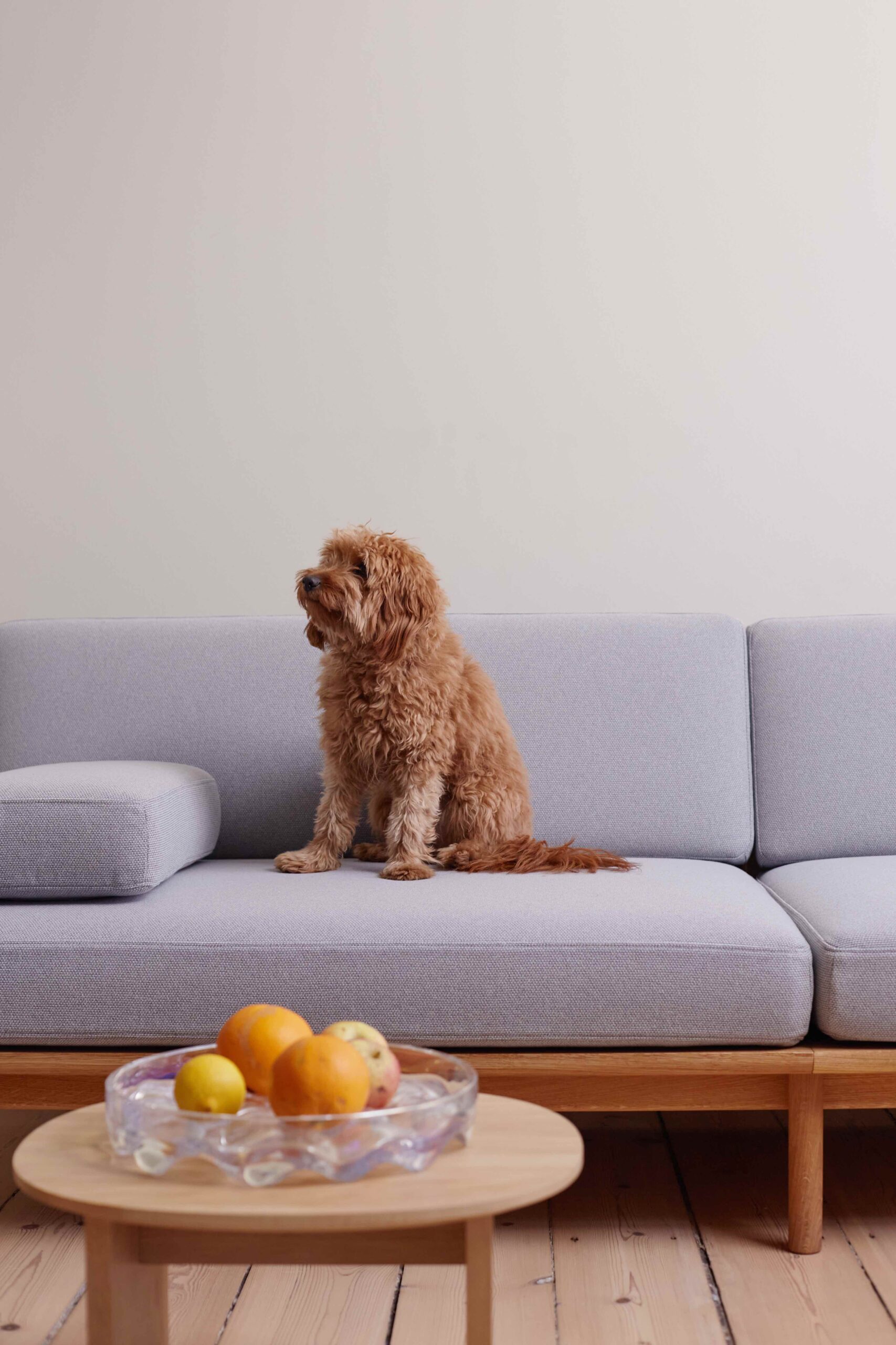 Spoke Sofa dog TAKT Anderssen & Voll Scandinavia design