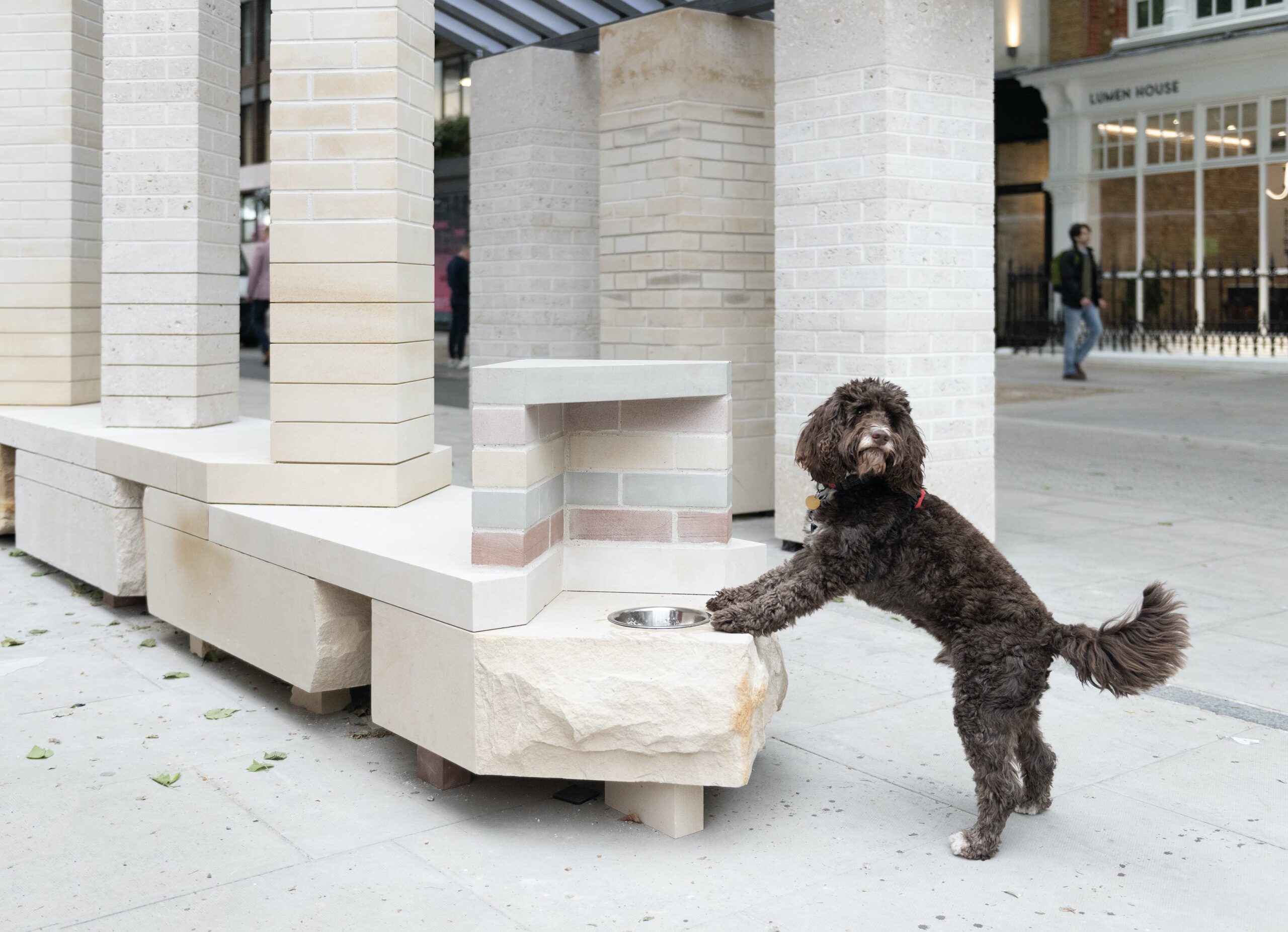 Brick from a Stone Clerkenwell Design Week dog