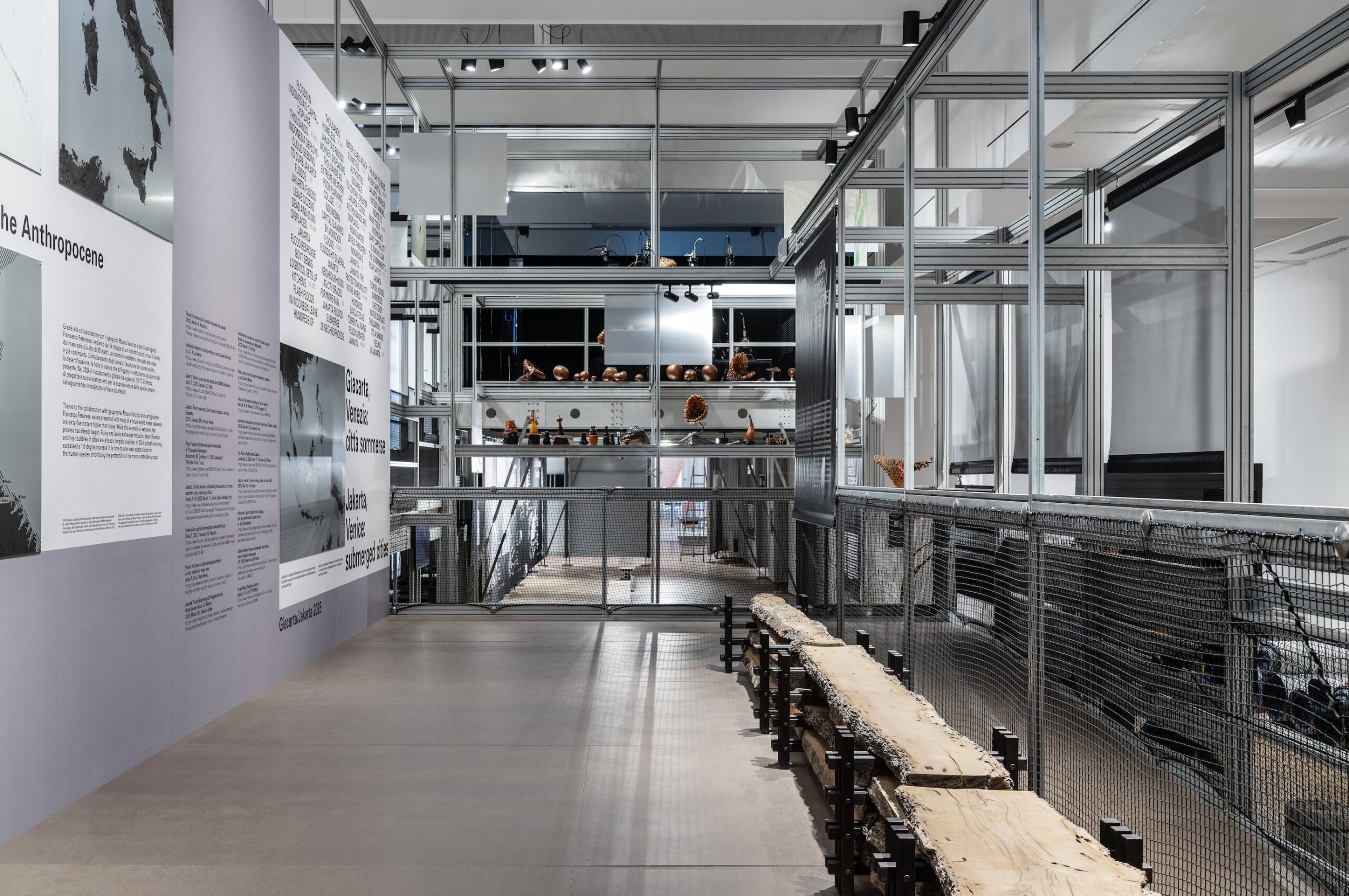 A Journey Into Biodiversity