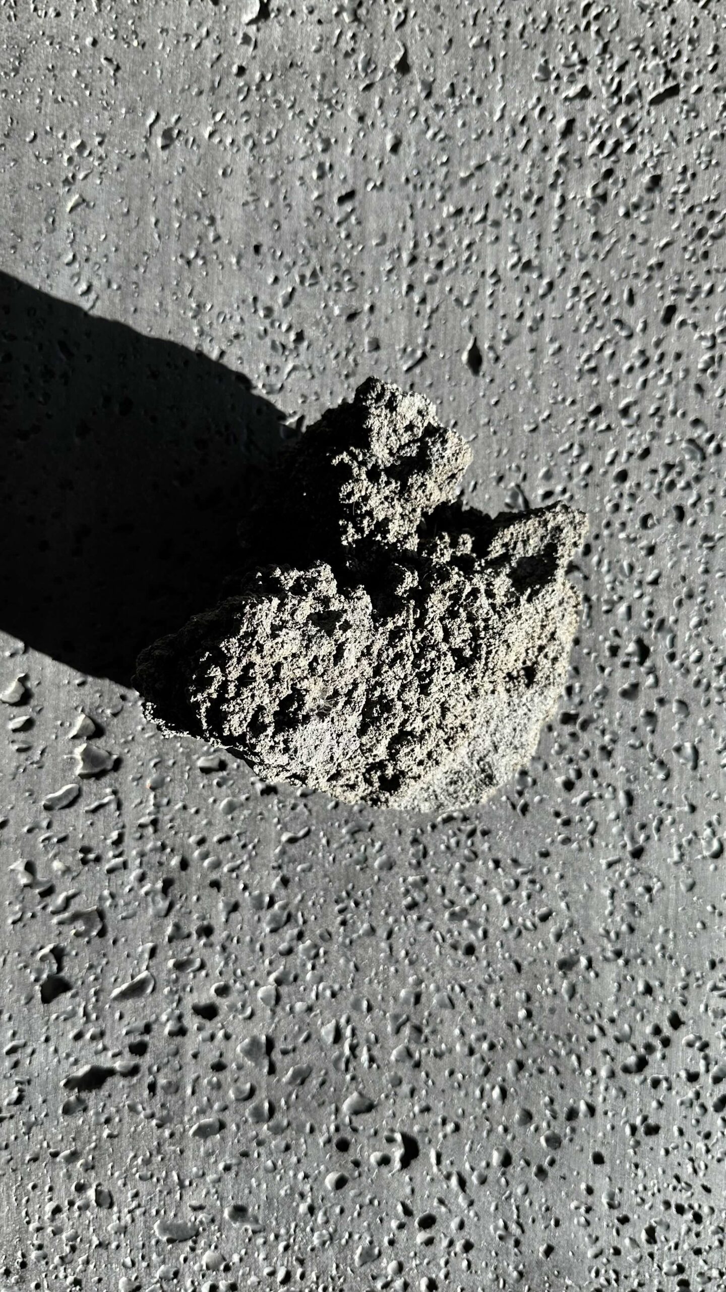 sensietna florim detail