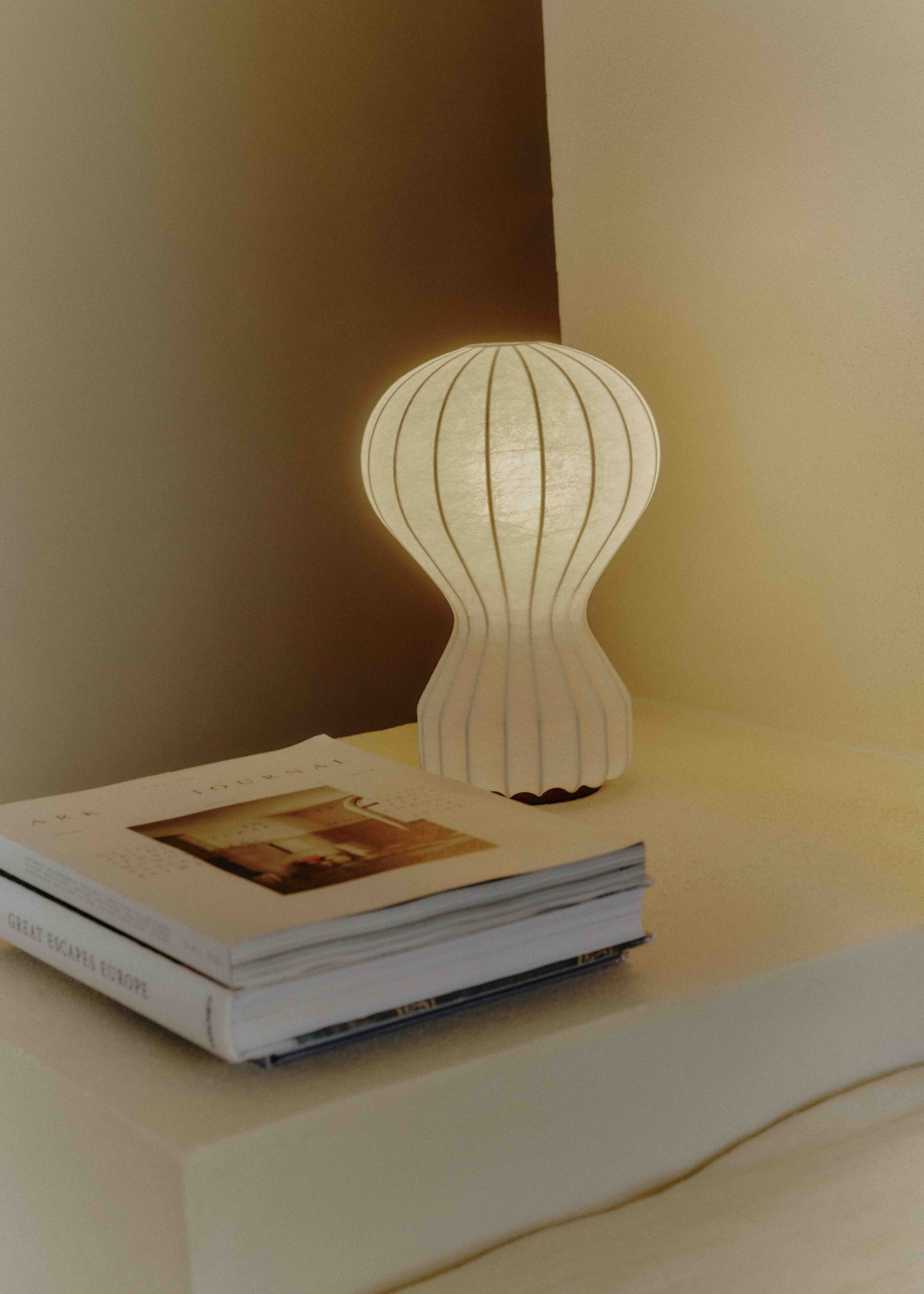 Flos-Gatto_Piccolo-PH_Consiglio_Manni-Casa_Maiora_Carovigno_Puglia_Italy-2023